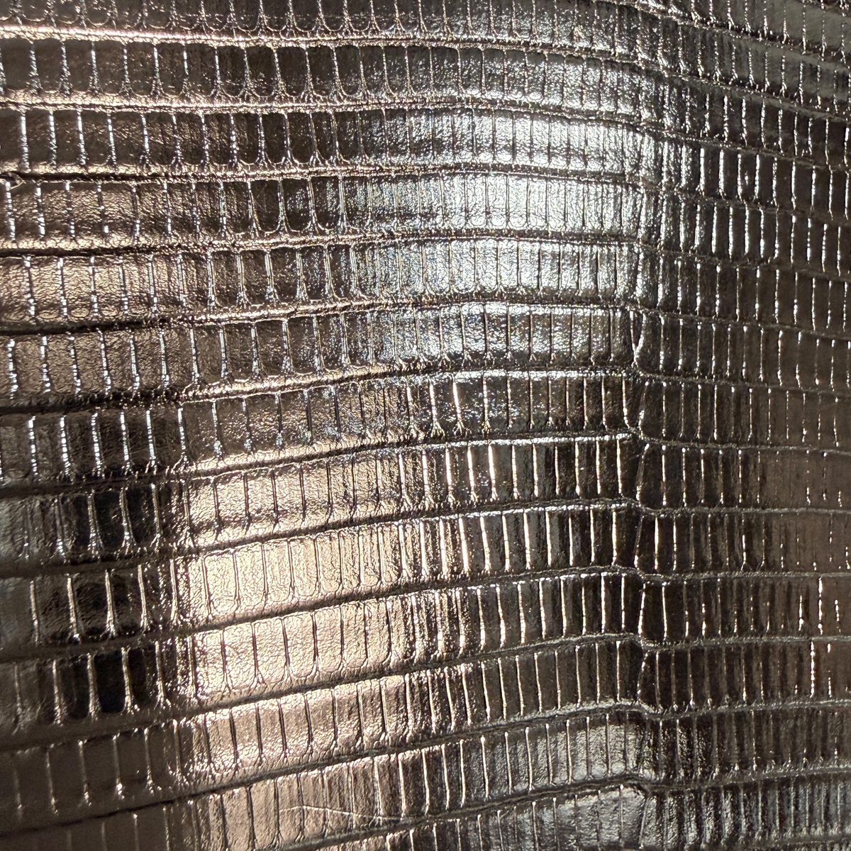 Christian Dior Lady Dior, Silver Lizard