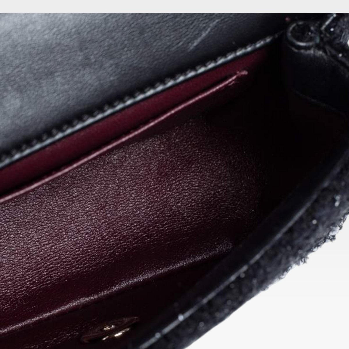 Chanel Cosmo Pearl Embellished Bag (2017)