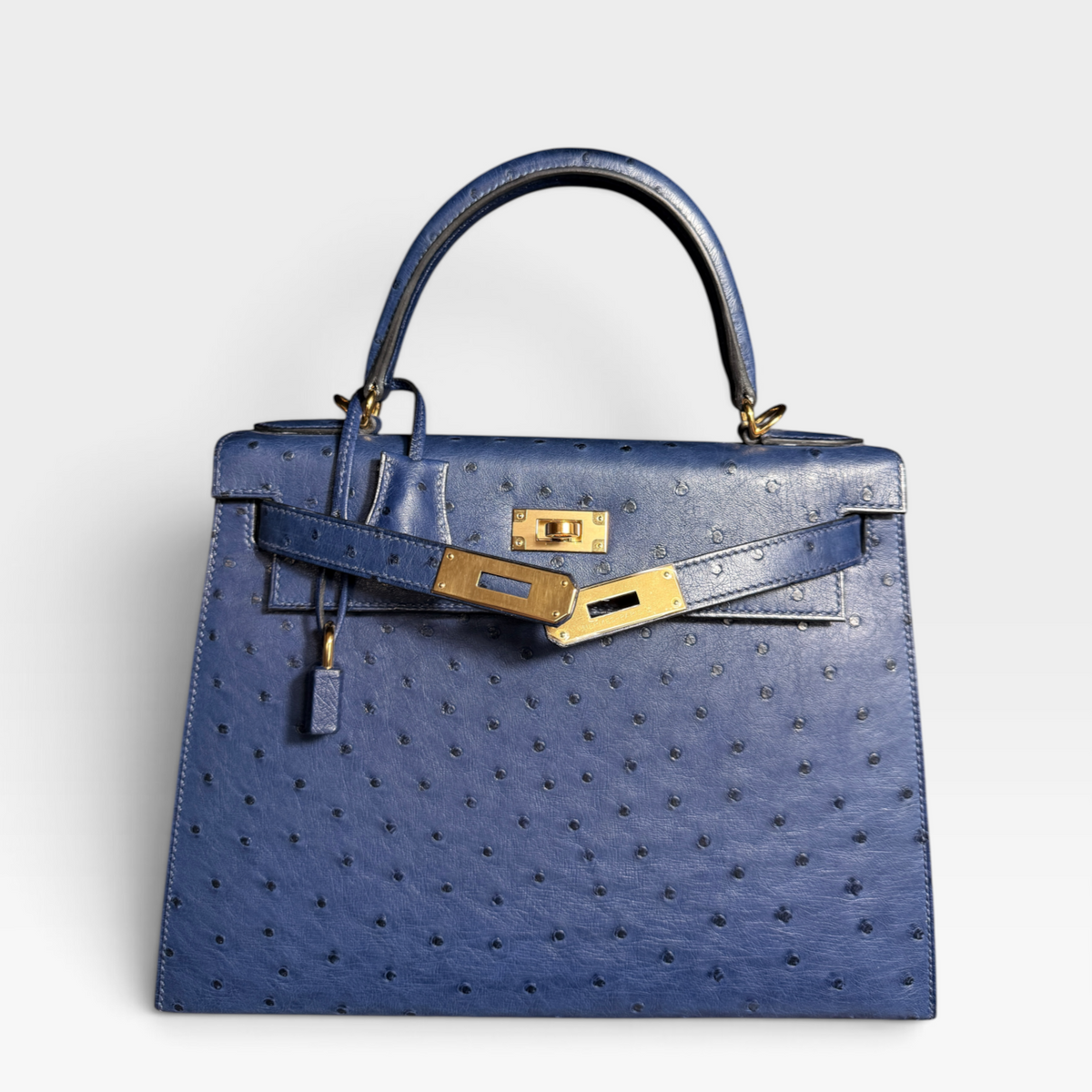 Hermès Kelly 25, Ostrich - D Stamp
