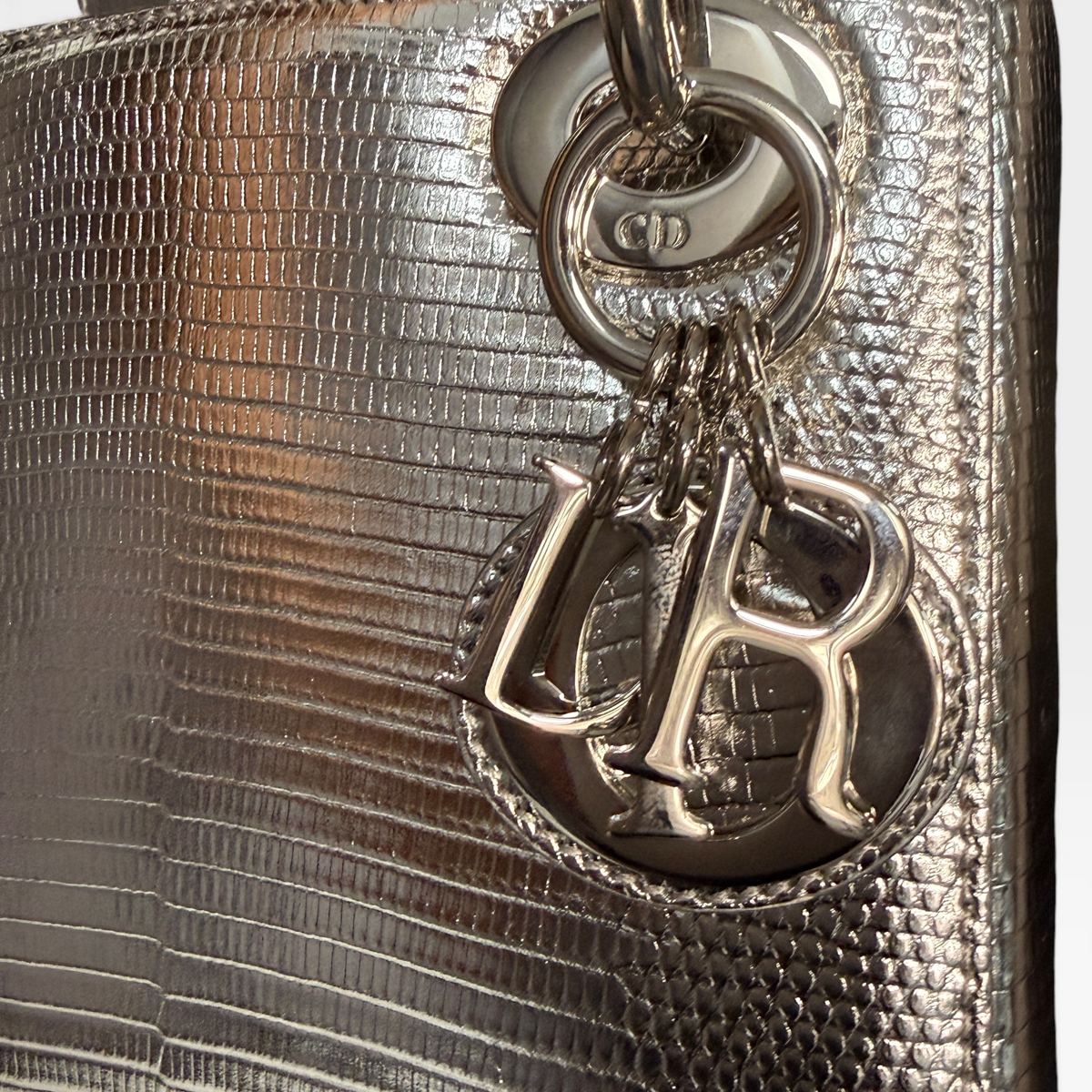 Christian Dior Lady Dior, Silver Lizard