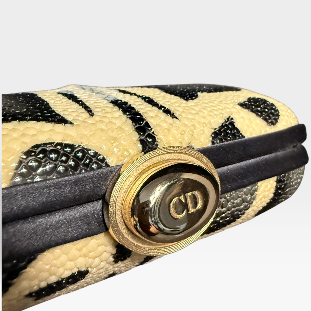 Christian Dior Stingray Hard Mini Clutch Bag