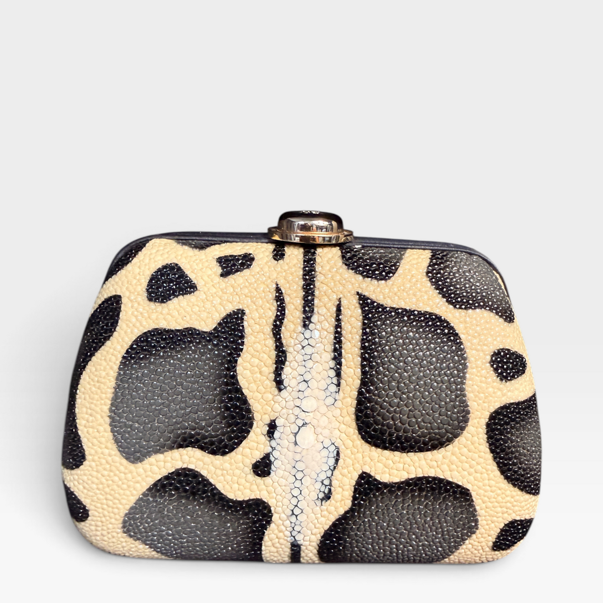 Christian Dior Stingray Hard Mini Clutch Bag