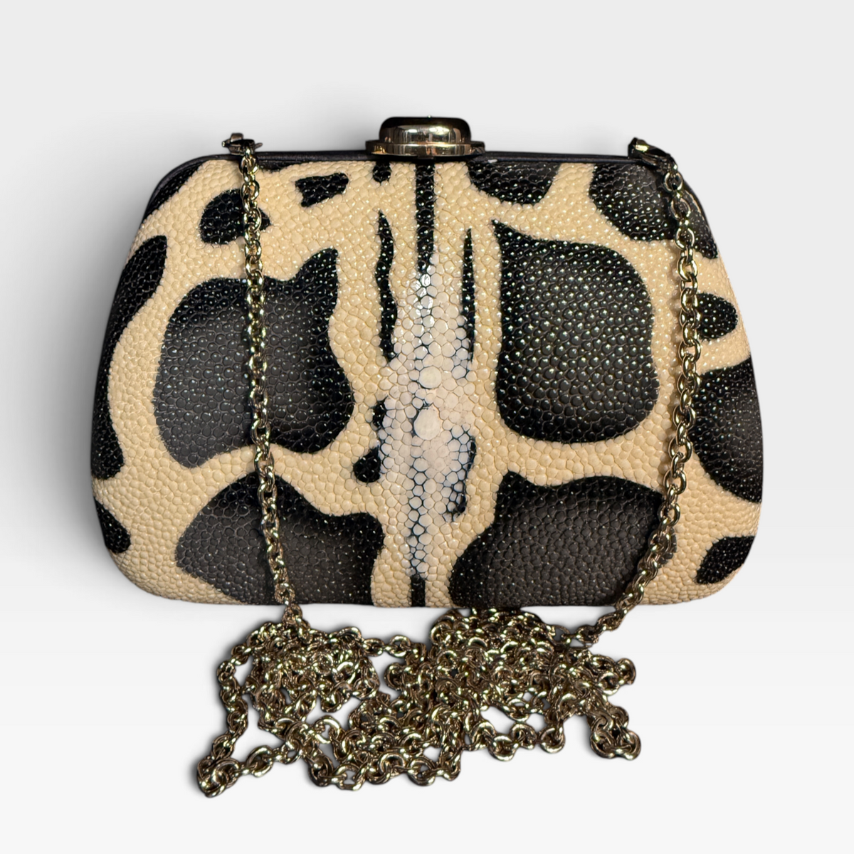 Christian Dior Stingray Hard Mini Clutch Bag